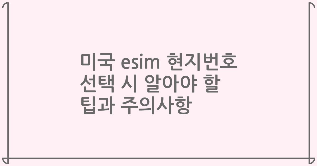 미국 esim 현지번호 선택 시 알아야 할 팁과 주의사항